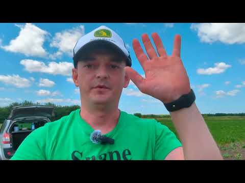 Видео: Підживив 💧 гарбуз 🎃— показую, чим і як! Легко та просто 💪