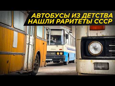 Видео: Главные автобусы СССР. Икарус, Лиаз, Лаз и другие. Путешествие в детство #ДорогоБогато