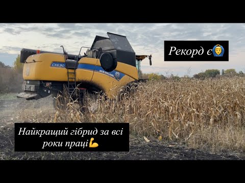 Видео: Вніс то є сила💪 Нарешті кукурудза в коморі. Краще синиця в руках, чим журавель у небі..