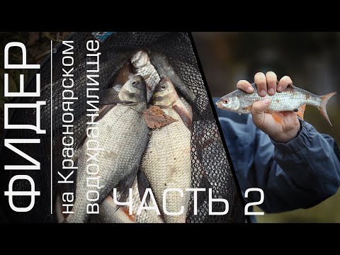Видео: Часть 2. Фидерная рыбалка на Красноярском Водохранилище