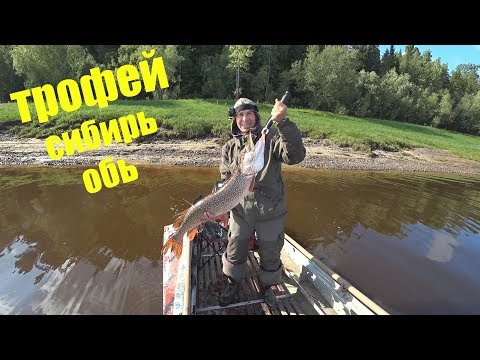 Видео: Трофейная щука /р ОБЬ / Ханты-Мансийск