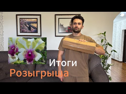 Видео: ￼ Распаковка орхидей с Сибири. Розыгрыш￼