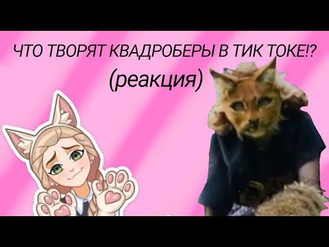 Видео: ЧТО ТВОРЯТ КВАДРОБЕРЫ В ТИК ТОКЕ!? (реакция на квадроберов) (ИДЕЮ ВЗЯЛА С fanlerok)