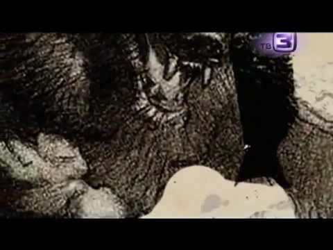 Видео: Нечисть. 8 выпуск. Оборотни (31.10.2012)