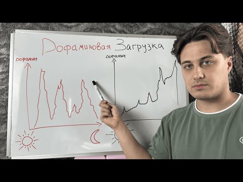 Видео: САМЫЙ ЛЁГКИЙ способ ПОДСЕСТЬ на учёбу —"Загрузка дофамина"