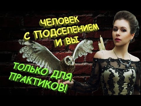Видео: Колдун и одержимый: коррида или симбиоз?