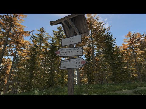 Видео: Dayz сервер Your story. Патроны.