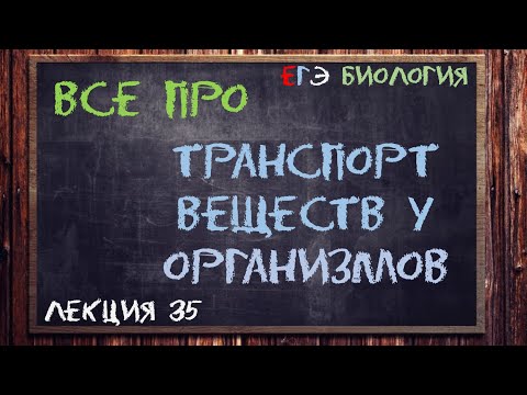 Видео: Л.35 | ТРАНСПОРТ ВЕЩЕСТВ У ОРГАНИЗМОВ | ОБЩАЯ БИОЛОГИЯ ЕГЭ