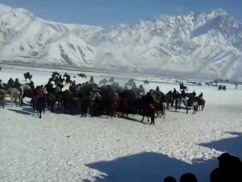Видео: Бузкаши чамоати дехоти хичборак