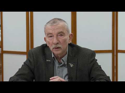 Видео: Лекция "Русский человек в Японии и его потрясения" А.Н. Мещеряков