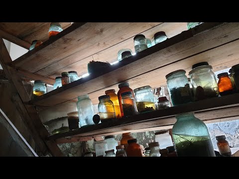 Видео: Дальние Зеленцы. Ремонт АКПП в тундре и прогулка по заброшенному морскому биологическому институту.