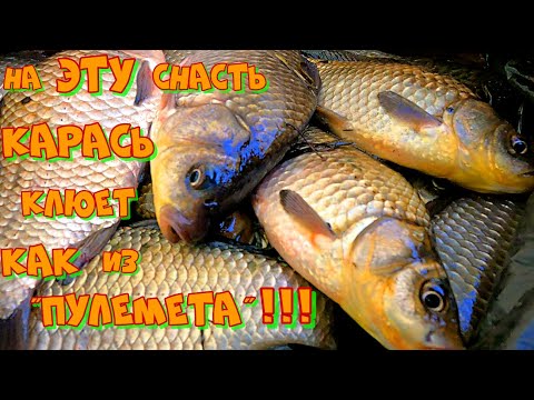 Видео: НЕОБЫЧНЫЙ метод ЛОВЛИ КАРАСЯ на БОКОВОЙ КИВОК ! Весенняя Рыбалка на ПОПЛАВОК и БОКОВОЙ КИВОК .