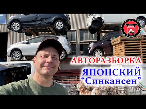 Видео: Авторазборка. Японский «Синкансен». Ночной клуб.