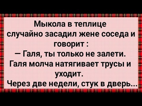 Видео: Как Галя от Мыколы Залетела! Сборник Свежих анекдотов! Юмор!