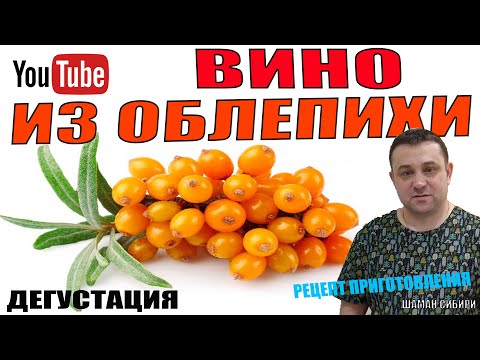 Видео: Вино из Облепихи! Рецепт приготовления! Дегустация!