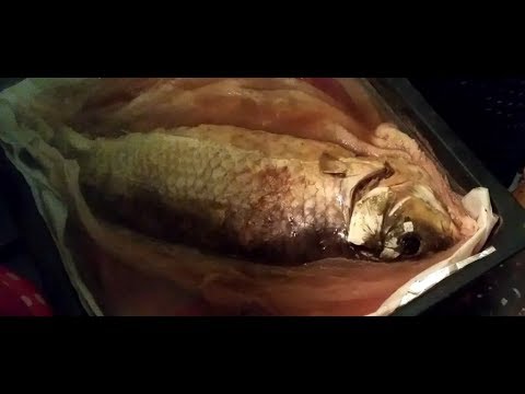 Видео: Фаршированная рыба. Gefilte fish.