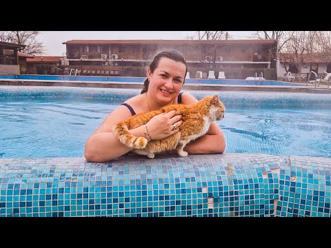 Видео: ЖИВОТ НА СЕЛО: Имаме нужда да презаредим | На почивка с приятели