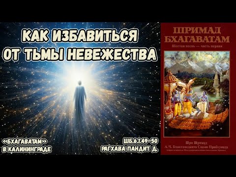 Видео: Как избавиться от тьмы невежества. Рагхава Пандит д. ШБ.6.1.49–50