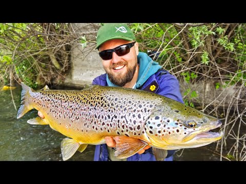 Видео: РЕКОРДНИ ЗВЕРОВЕ на ПРИМАМКА ЗА 5 ЛЕВА!!! Риболов на огромна пъстърва / Fishing for giant trout