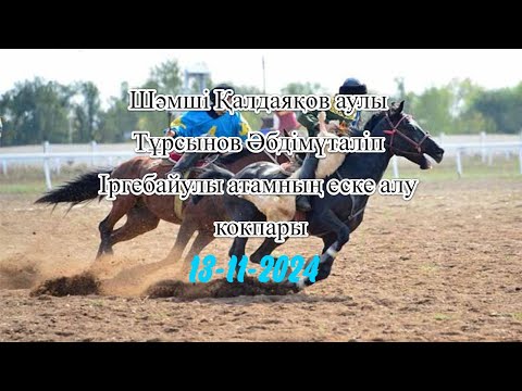Видео: 13 11 2024 Шәмші Қалдаяқов аулы Тұрсынов Әбдімүталіп Іргебайулы атамның еске алу кокпары