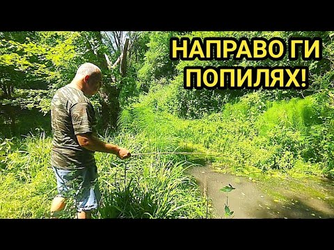 Видео: Уникален речен риболов! Направо ги скъсах! Намерих им мястото и риба след риба! Върховно удоволствие