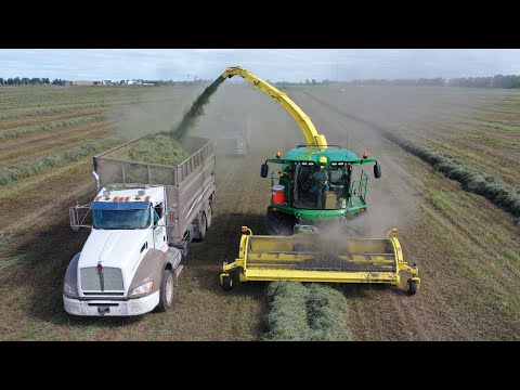 Видео: #138. СЕНАЖ. УБОРКА ЛЮЦЕРНЫ В КАНАДЕ. #MYAGROTOURS