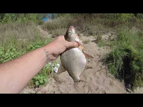 Видео: Рыбалка / Ловля подлещика на Оке под Серпуховом.