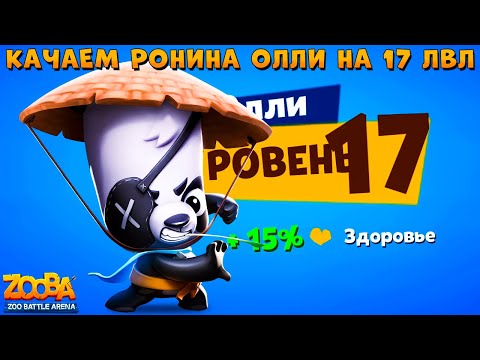 Видео: КАЧАЕМ ПАНДУ РОНИНА ОЛЛИ НА 17 УРОВЕНЬ  В ИГРЕ ZOOBA
