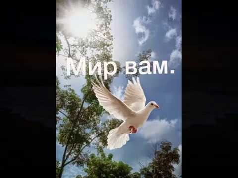 Видео: Группа Добрая весть Лети, наша песня