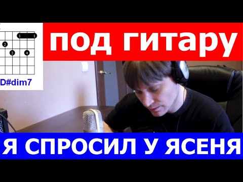 Видео: Ирония Судьбы - Я спросил у ясеня аккорды 🎸 кавер табы как играть на гитаре | pro-gitaru.ru