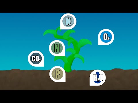 Видео: Добавляю РЕАЛИЗМ в Свою Игру про Растений-Мутантов