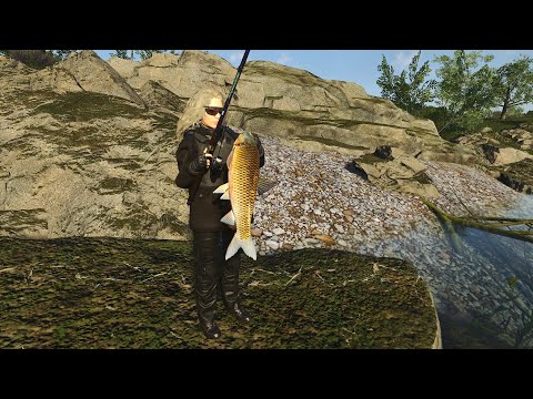 Видео: как ловить рыбу в скам / Scum объясняю как рыбачить/ рыбалка в scum / Lina_Play