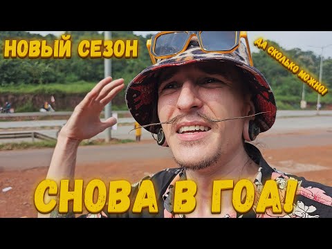 Видео: ГОА ГРИНЧ НОВЫЙ ИНДИЙСКИЙ СЕЗОН