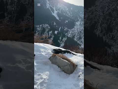 Видео: Прогулка по «Старой японской дороге» в большом Алматинском ущелье (Казахстан, г. Алматы) 08.02.2025