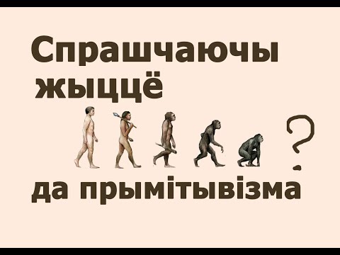 Видео: Спрашчаючы жыццё да прымітывізма