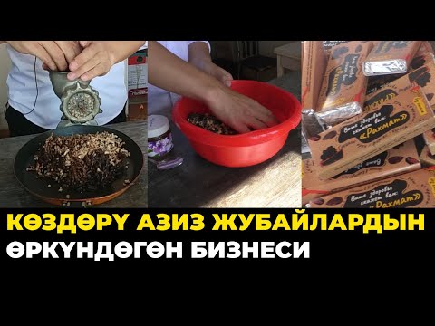 Видео: КӨЗҮҢ КӨРБӨЙТ ДЕП ЖУМУШКА АЛБАЙ КОЮШКАН