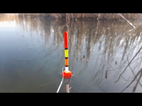 Видео: РУКА ОТСОХЛА от ТАКИХ КАРАСЕЙ! Рыбалка на  УТРЕНЕЙ ЗОРЬКЕ. ЛОВЛЯ КАРАСЯ.