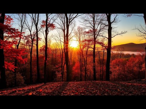 Видео: Моё идеальное утро