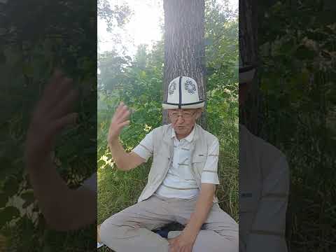 Видео: Дүйшөн Керимов: 3-сабак, кыргыздардын Ала-Тоо мекенине кайтып келиши. Алманбеттин Манаска кошулушу.