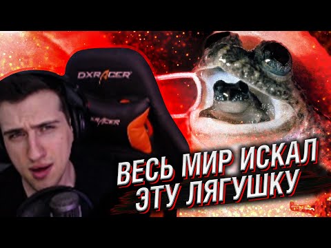 Видео: Hellyeahplay смотрит: Вот Почему Весь Мир Искал Эту Лягушку