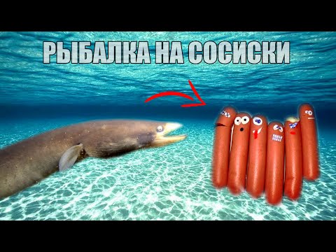 Видео: Как Клюет Угорь? Поклевка Угря на Сосиску. Реакция рыбы. Подводная съемка на рыбалке.