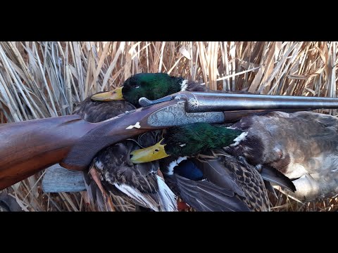 Видео: ОХОТА НА УТКУ налетела стаище крыжня 31.10.