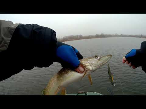 Видео: Твичинг.Закрывался.Сработал X-120 от Megabass.