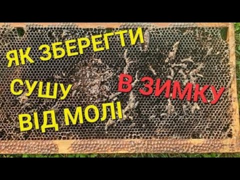 Видео: Відповіді на запитання про 6ти рам. #бджолипчеловодствов6тирамочныхульях