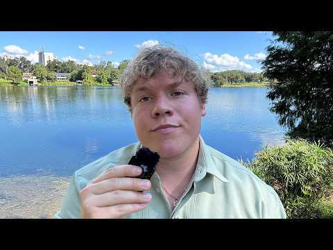 Видео: перестань встречаться с кем попало