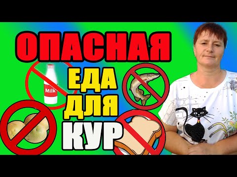 Видео: ОПАСНАЯ (вредная) еда для кур. Что нельзя давать курам из еды.