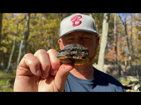 Видео: Посмотрите, что осталось на зиму!