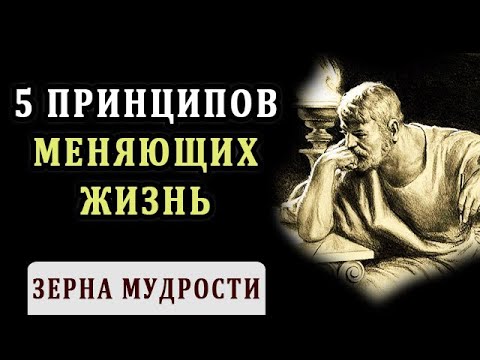 Видео: 5 Принципов, Которые Изменят Твою Жизнь