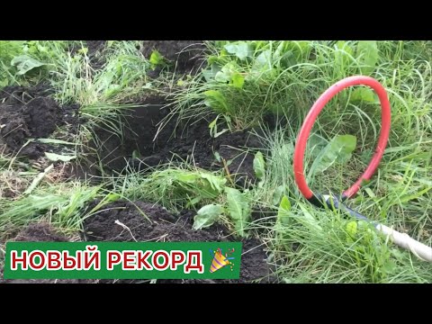 Видео: Коп в примечательном месте | На лугу с металлоискателем Пират