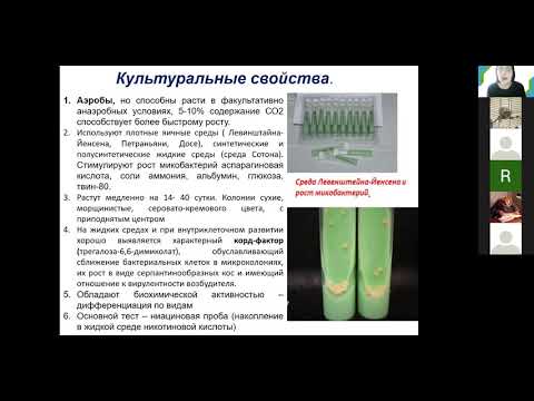 Видео: С. А. Лисовская. Микобактерии. Возбудители туберкулеза и микобактериозов. Мед-био факультет.